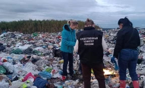 В Ленинградской области на свалке обнаружили тело младенца
