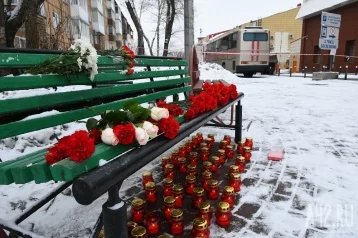 Фото: Кемеровчане несут цветы и свечи к зданию «Зимней вишни» в Кемерове 1