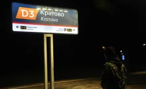 Поезд раздавил 17-летнего подростка в Московской области