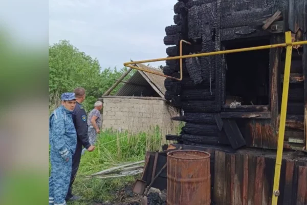 Житель Ульяновской области получил срок за поджог дома с женщиной и 2 детьми