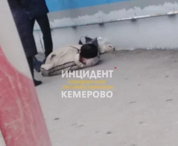 Фото: В Кемерове возле гипермаркета умер мужчина 1