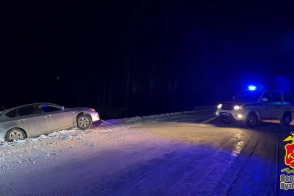 В Топкинском округе полицейские отбуксировали из сугроба машину автомобилистки
