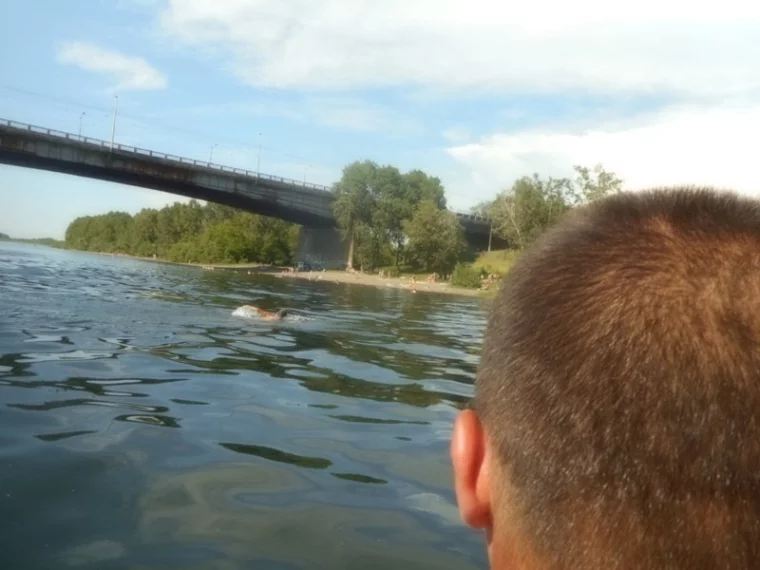 Фото: В Новокузнецке мужчина спрыгнул с Кузнецкого моста 2