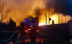 Лесной пожар перекинулся на село под Тюменью. Эвакуированы сотни человек