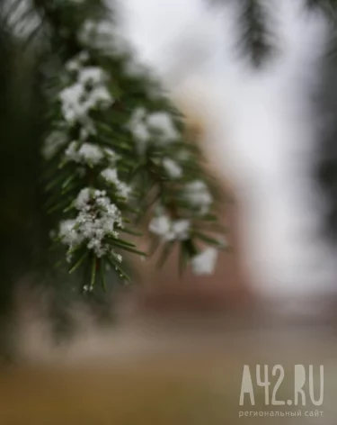 Фото: A42.RU