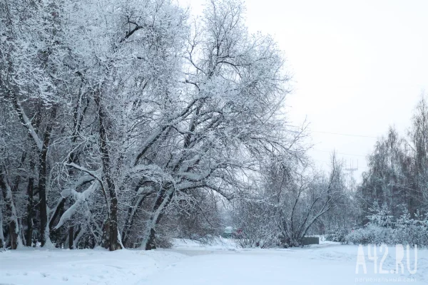Синоптики: Кузбассе 21 февраля температура резко опустится ниже -30