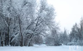 Синоптики: Кузбассе 21 февраля температура резко опустится ниже -30