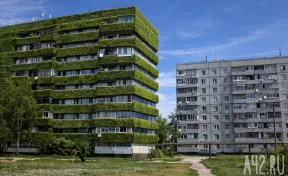 Мох-биосенсор. Как «зелёный» фасад дома может отслеживать загрязнение воздуха в Кузбассе