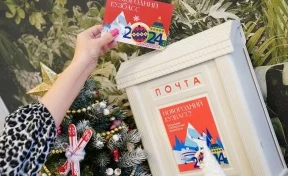 Кузбассовцам помогут выбрать новогодние развлечения в специальных центрах