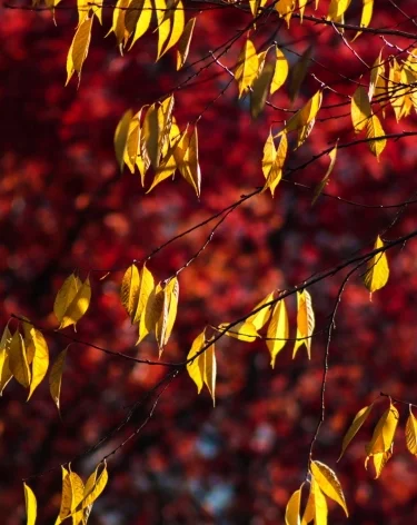 Фото: A42.RU