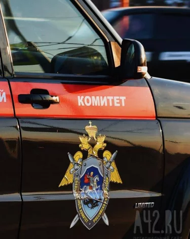 В Кузбассе 57-летняя женщина убила сожителя ударом ножа