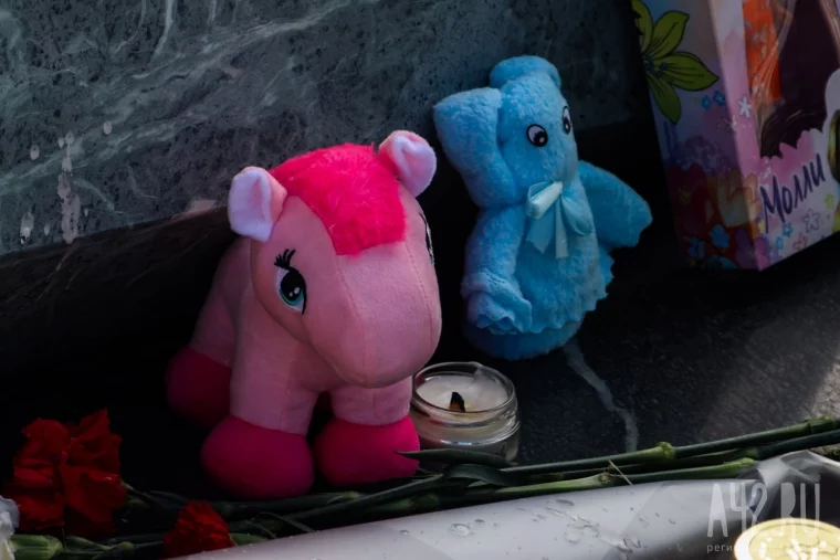 Фото: Прошло 8 лет: кузбассовцы вспоминают трагедию в «Зимней вишне» 8