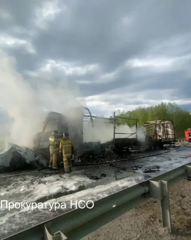 Фото: <a href=https://t.me/prokuratura_nso/10126>прокуратура Новосибирской области</a> / Телеграм
