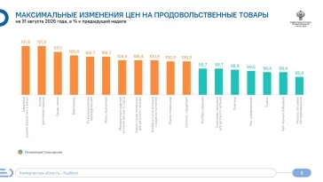 Инфографика: Кемеровостат