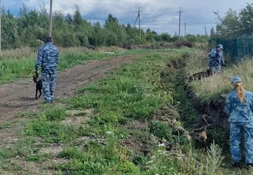 Фото: В Свердловской области нашли тело пропавшего 8-летнего мальчика 1