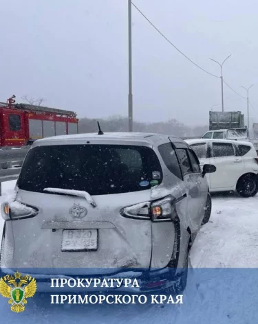 Фото: <a href=https://t.me/prosecutor_pk/11674>Прокуратура Приморского края</a>/Телеграм