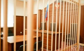 Обвиняемого в убийстве женщины в 2002 году жителя Кузбасса взяли под стражу