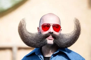 Фото: Учёные: в мужской бороде бактерий больше, чем в собачьей шерсти 1