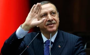 Представитель Эрдогана прокомментировал сообщения о его смерти
