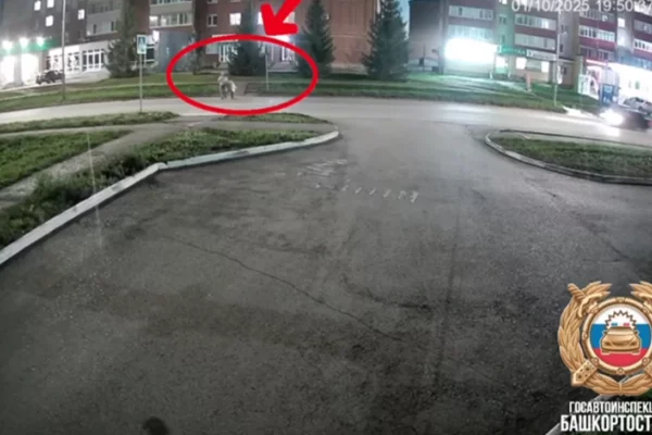 В Башкирии водитель сбил женщину с ребёнком и врезался в магазин