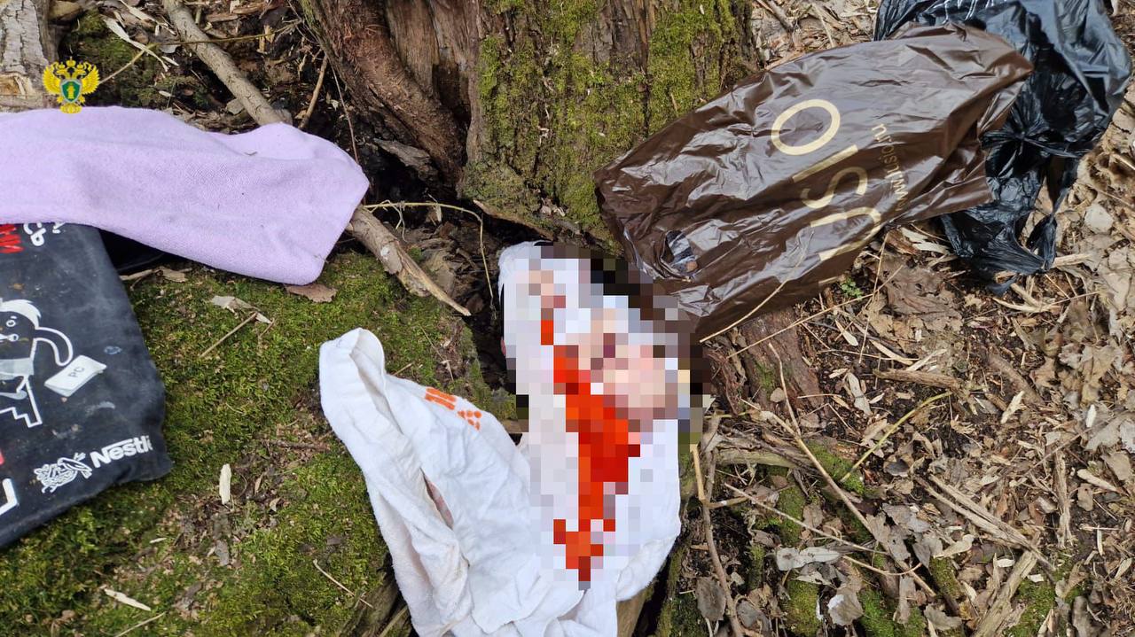 В лесопарке в Москве нашли тело новорождённой девочки