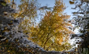 Не мыть голову и устроить «капустник»: народные приметы на 24 сентября