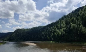 Замгубернатора Кузбасса прокомментировал жалобы на загрязнение рек золотодобытчиками
