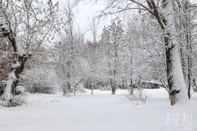 Фото: Кемерово под снегом 38
