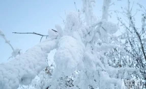 МЧС: в горах КБР, где погибли 12 альпинистов, сошла ещё одна лавина