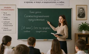 Родной язык: почему и по русскому языку может потребоваться репетитор
