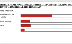 Салюту на 9 мая — быть: на сайте кемеровской мэрии завершилось голосование 