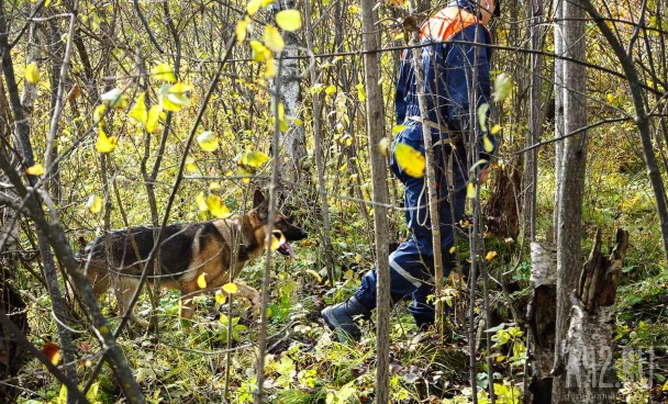 В Топкинском округе пропал 57-летний мужчина, ушедший в шлёпанцах