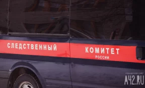Тело пропавшей по пути на работу девушки из Новосибирской области нашли в реке 