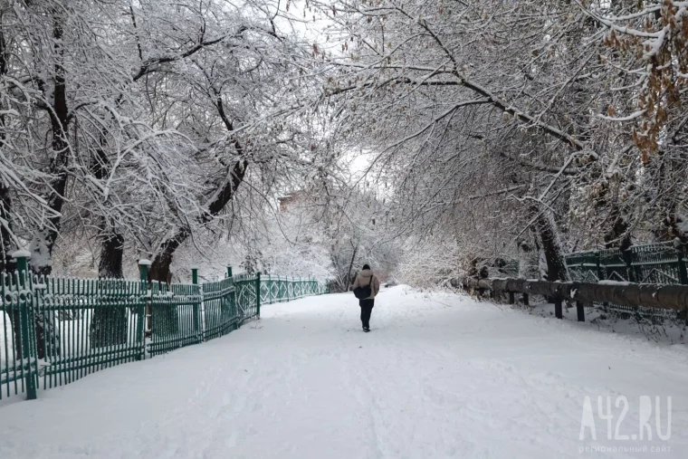 Фото: Кемерово под снегом 39