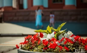 Миллион цветов высадят в Кемерове к 100-летию