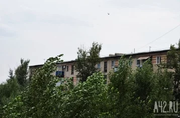 Фото: «Конец света наступает»: кемеровчане поделились видео поваленных деревьев и сильного града 1
