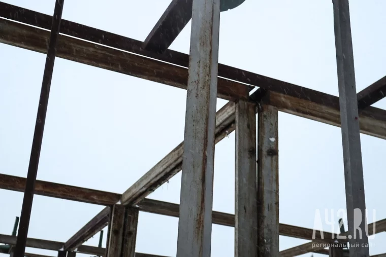 Фото: В Кемерове на площади Советов начали собирать главную новогоднюю ель Кузбасса 7