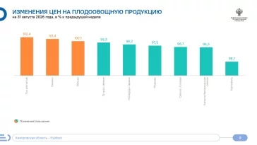 Фото: В Кузбассе за неделю цены на картофель рухнули почти на 22% 1