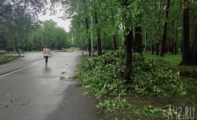 Мэр Новокузнецка: сильный ветер и дожди серьёзно повредили инфраструктуру города