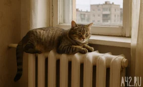 На Юргинской ТЭЦ снова понизилась температура носителя: комментарий мэра