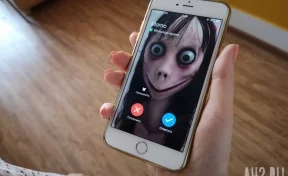 «Я знаю всё»: игра Momo в WhatsApp терроризирует детей