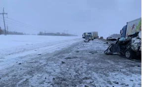 Ехал из Кемерова: внедорожник попал в смертельное ДТП с двумя грузовиками на трассе Р-255