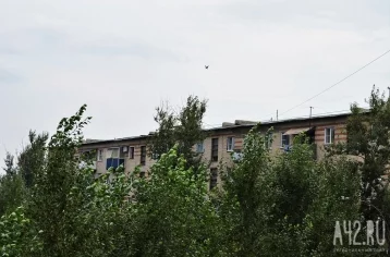 Фото: Мэр Новокузнецка: сильный ветер и дожди серьёзно повредили инфраструктуру города 1