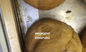 «Выпечка с мясом»: в Кемерове нашли хлеб с крупным насекомым