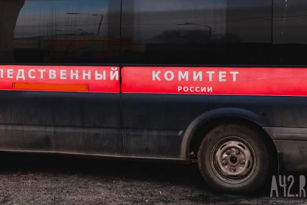 Бастрыкин затребовал доклад по уголовному делу об избиении школьницы в Кузбассе