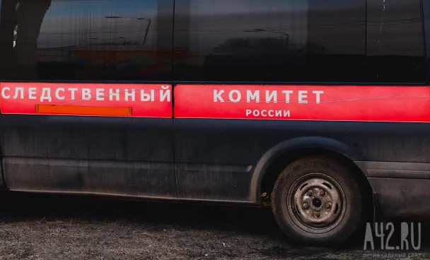Бастрыкин затребовал доклад по уголовному делу об избиении школьницы в Кузбассе