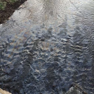 Фото: Экологи рассказали о результатах проверки состояния реки Аба в Новокузнецке 1