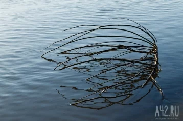 Фото: В Магаданской области потоком воды снесло автомобильный мост 1