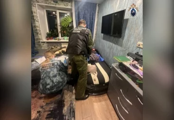 Фото: Стоящая на учёте у психиатра мать порезала 3-летнего сына в Красноярске 1