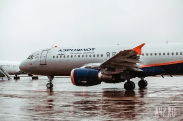 Фото: Рейс Москва — Кемерово приземлился в аэропорту с задержкой на восемь часов 1